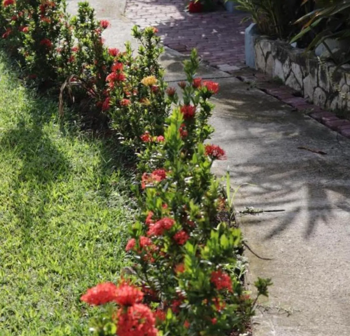 Otel Marge'S Vacation Rentals Negril